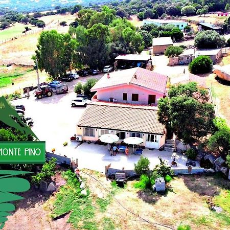 Agriturismo Monte Pino Telti Εξωτερικό φωτογραφία