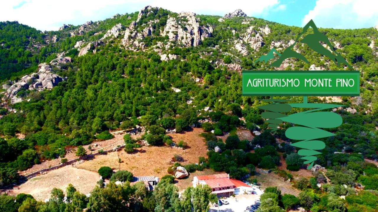 Agriturismo Monte Pino Telti Εξωτερικό φωτογραφία