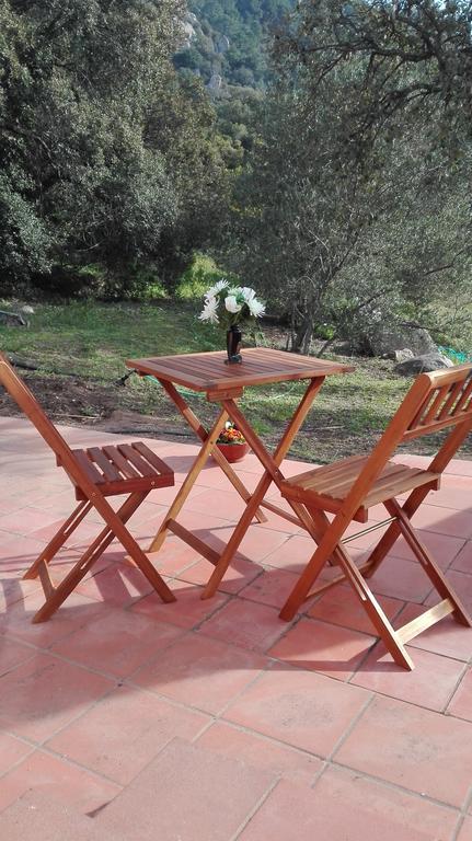 Agriturismo Monte Pino Telti Εξωτερικό φωτογραφία