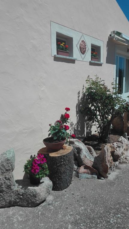 Agriturismo Monte Pino Telti Εξωτερικό φωτογραφία
