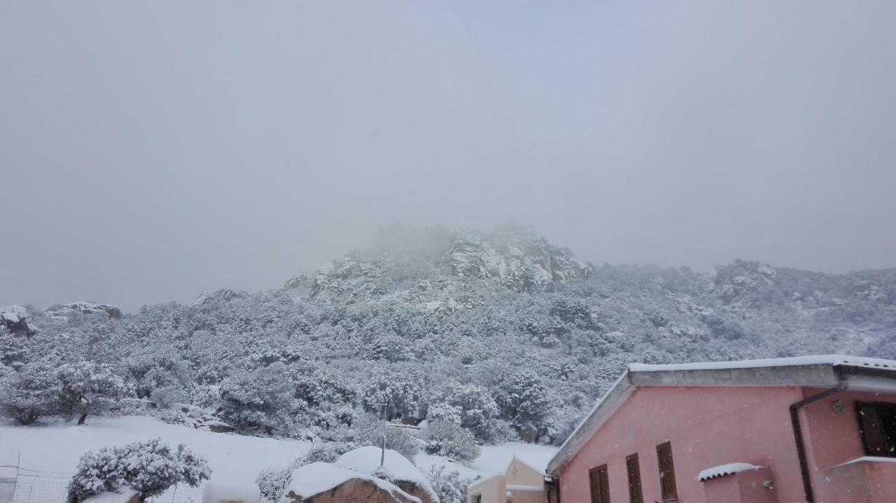 Agriturismo Monte Pino Telti Εξωτερικό φωτογραφία