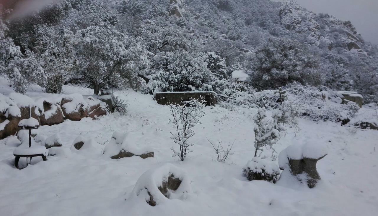 Agriturismo Monte Pino Telti Εξωτερικό φωτογραφία