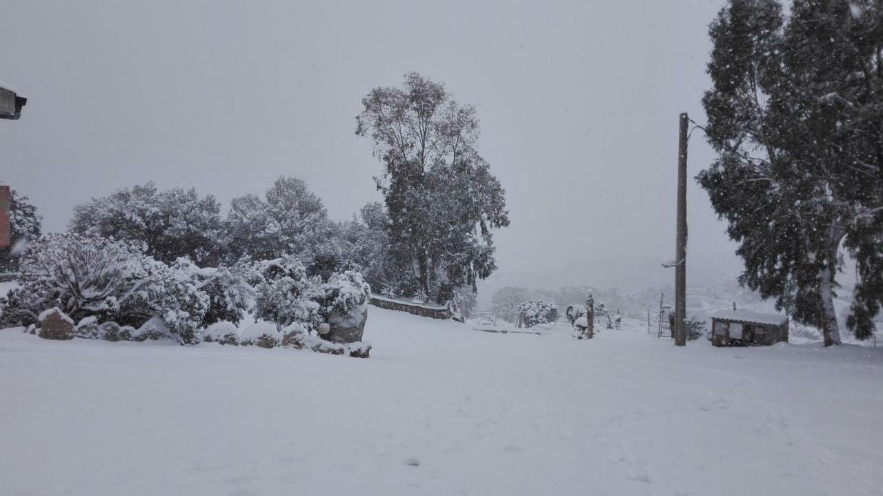 Agriturismo Monte Pino Telti Εξωτερικό φωτογραφία